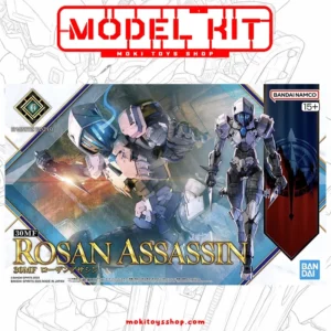 30 Minutes Fantasy Rosan Assassin